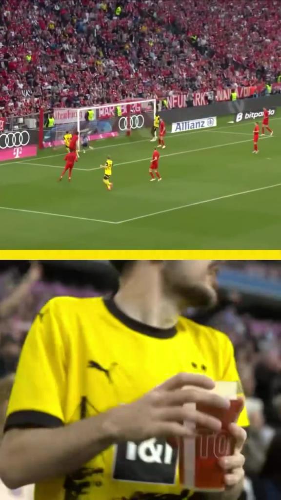 勇者無(wú)懼！這是真多特球迷！在拜仁球迷區(qū)一個(gè)人肆意慶祝！